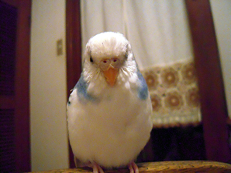 d0131293_15385622.jpg