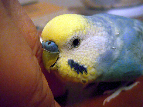 d0131293_1543239.jpg