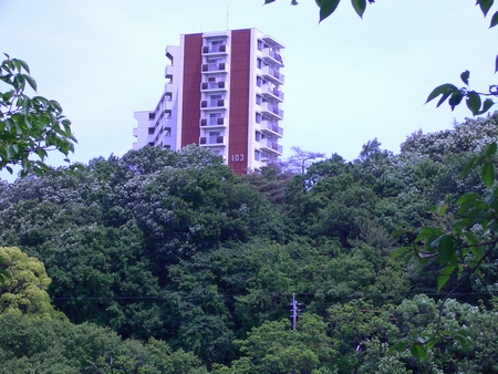 f0206596_18302659.jpg