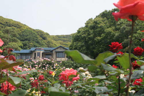 c0084097_4164940.jpg
