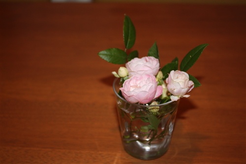 e0149299_20114715.jpg