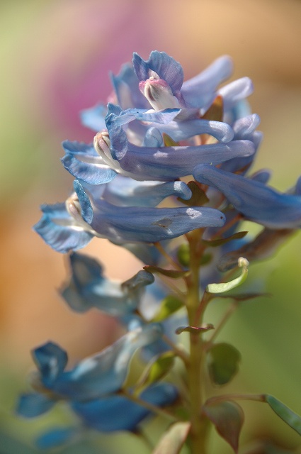f0157901_20403485.jpg