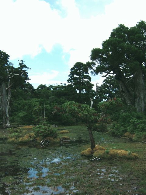 d0100504_17423732.jpg