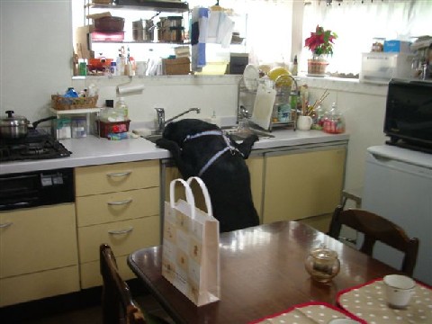 e0046305_16101572.jpg