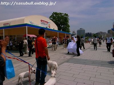e0145805_20371051.jpg