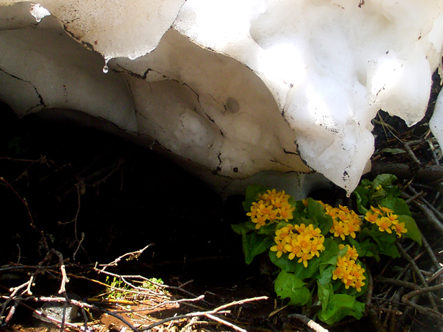 d0051707_1281147.jpg