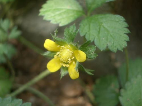 b0052108_23334856.jpg