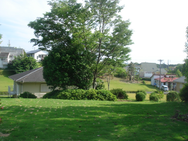b0168309_21133250.jpg