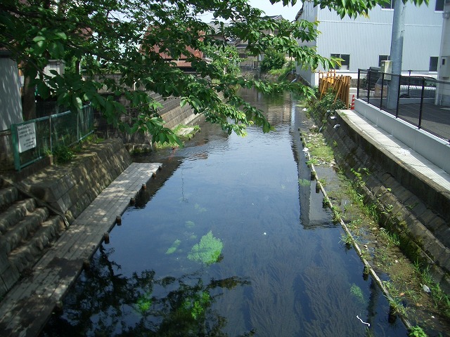 f0141310_23304725.jpg