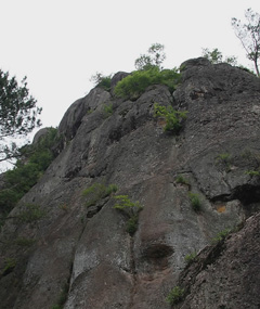 a0101715_11482272.jpg