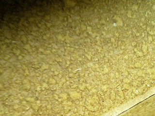 f0195715_19382689.jpg