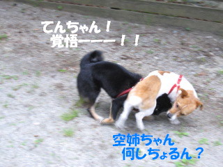 c0185516_16434757.jpg