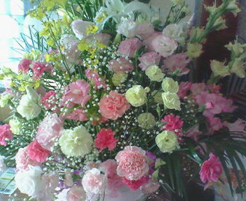 d0013816_21163441.jpg