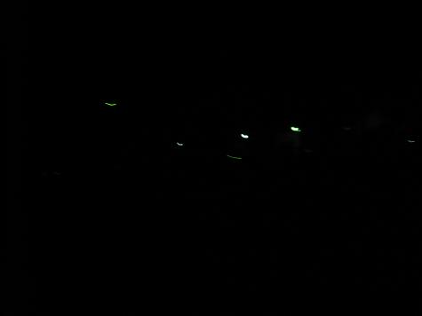 e0101917_2145872.jpg