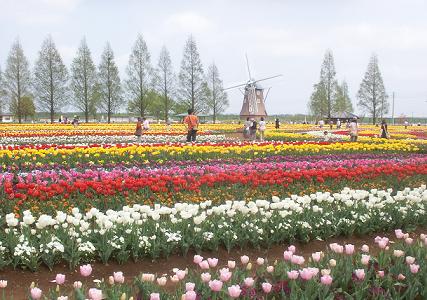 a0053420_0483930.jpg