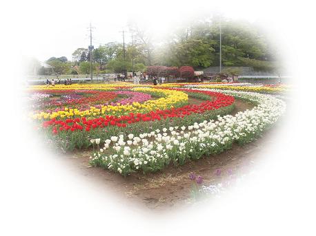 a0053420_0581823.jpg
