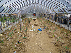 a0118120_19301449.jpg