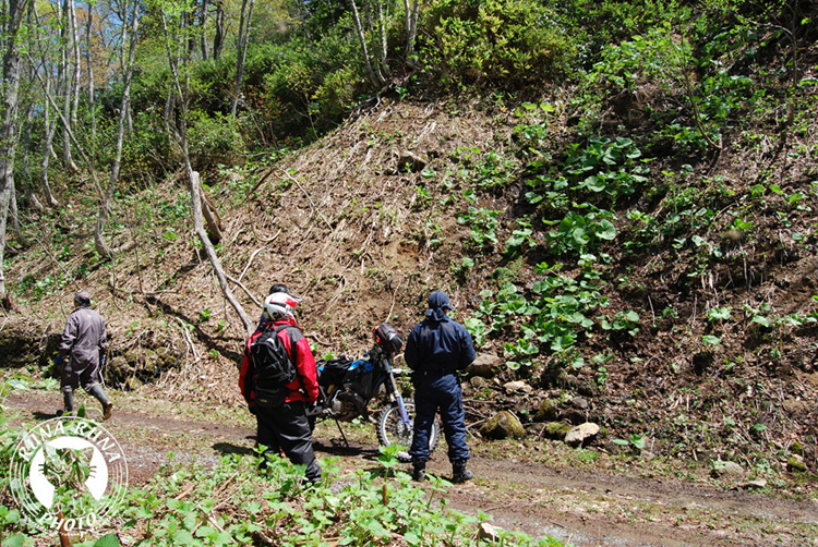 b0118920_21385717.jpg
