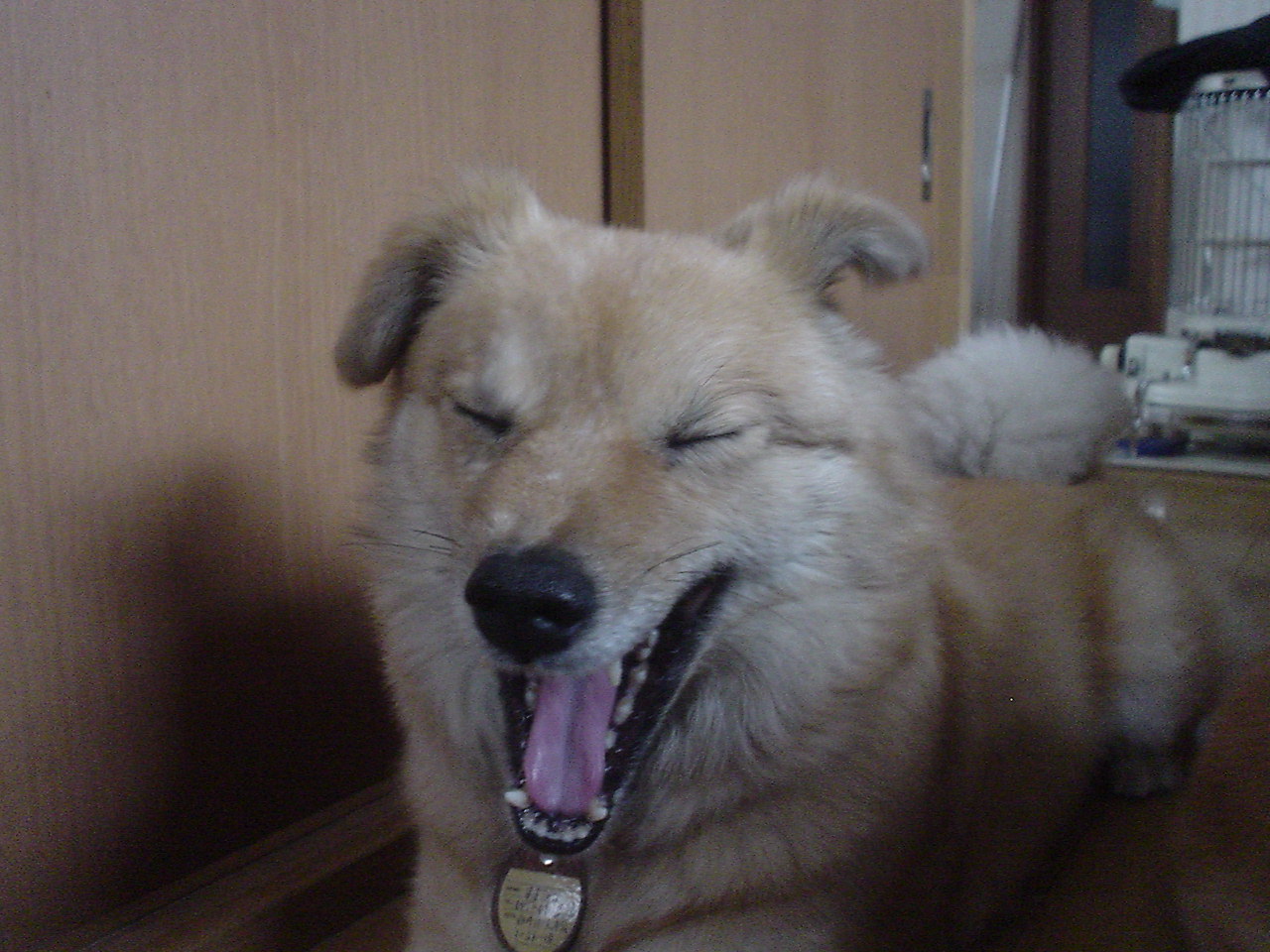 c0150520_2231719.jpg