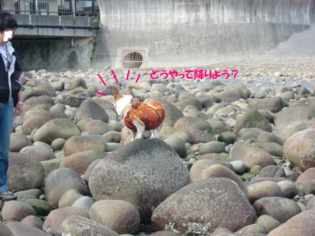f0182121_058214.jpg