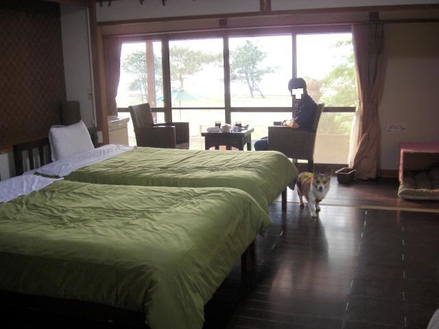 f0182121_191434.jpg