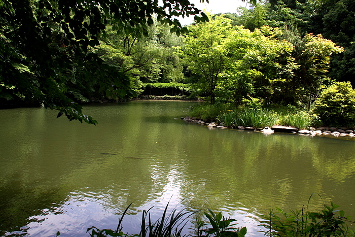 b0165522_16255254.jpg