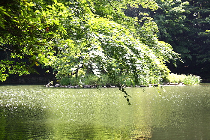 b0165522_1625674.jpg