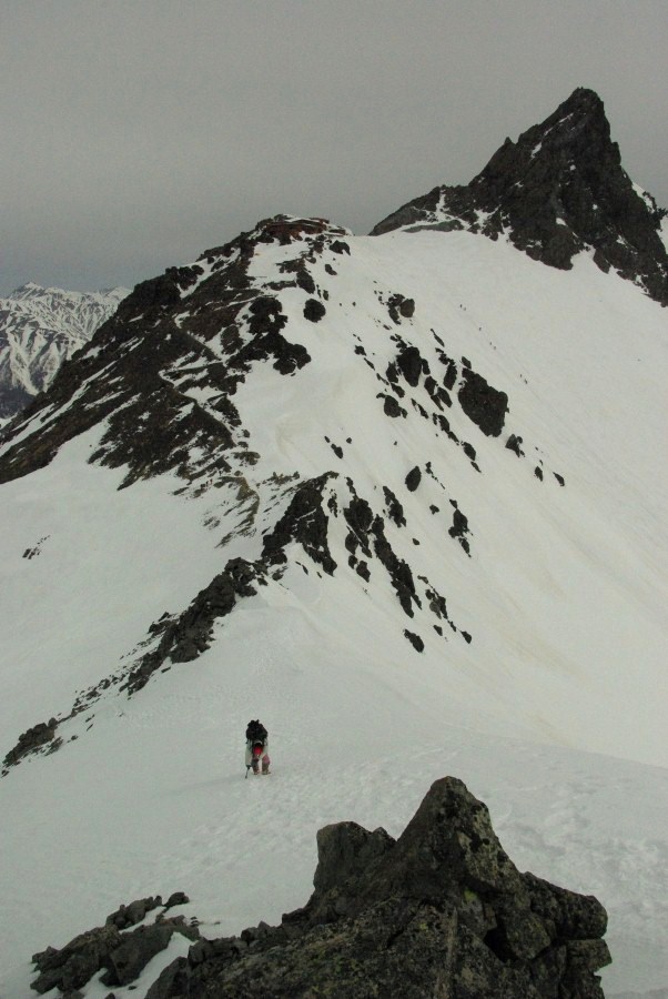 b0062024_1736161.jpg