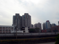 f0060424_14541461.jpg