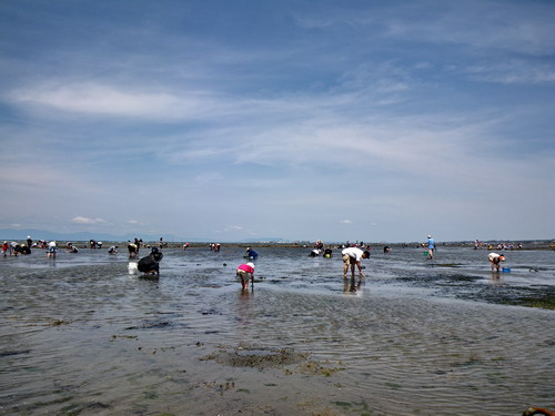 c0090530_20111136.jpg
