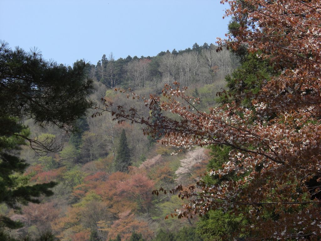 e0142430_19165318.jpg