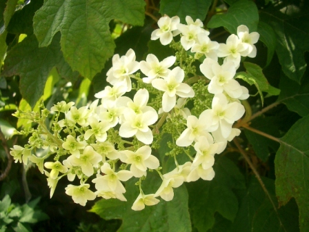 c0025140_11142725.jpg