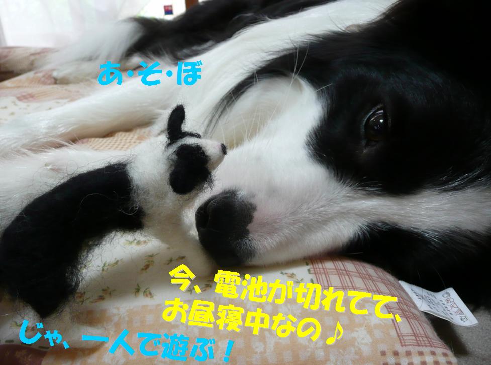 c0147241_1981863.jpg