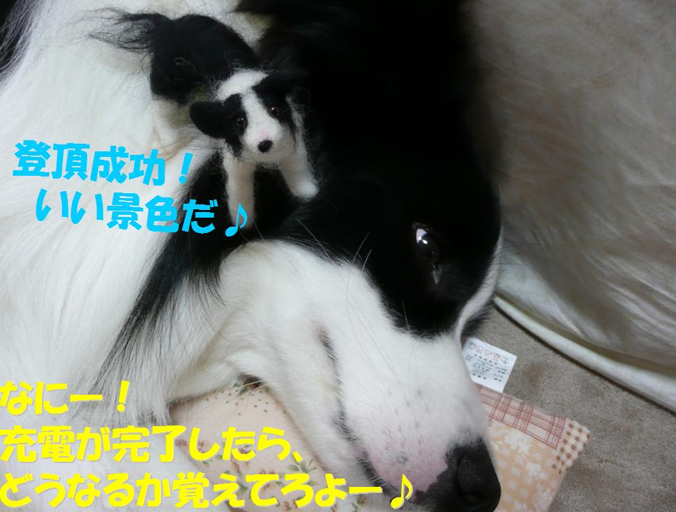 c0147241_1982750.jpg