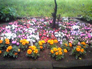 e0087443_20344177.jpg