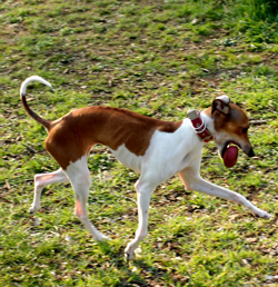 a0082146_221649.jpg