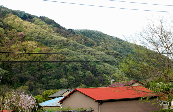 a0082146_23283532.jpg