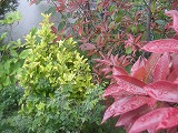 b0157246_22313439.jpg