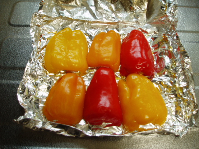 e0038047_2235433.jpg