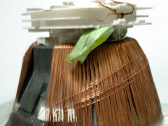 e0005548_2215383.jpg