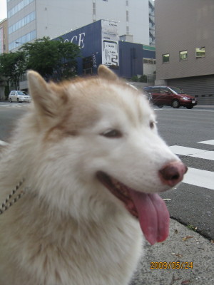 e0121548_20422965.jpg