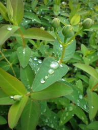 c0047449_20353184.jpg