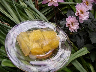 a0068350_14305677.jpg