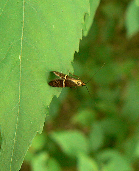 d0091754_4315916.jpg