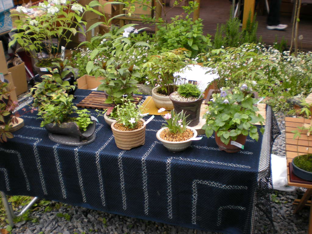 d0148555_23282155.jpg