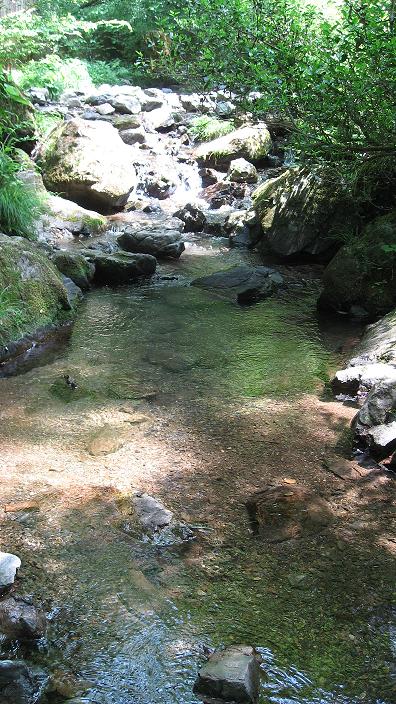 f0000559_21555947.jpg