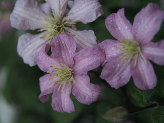 e0105760_9294818.jpg