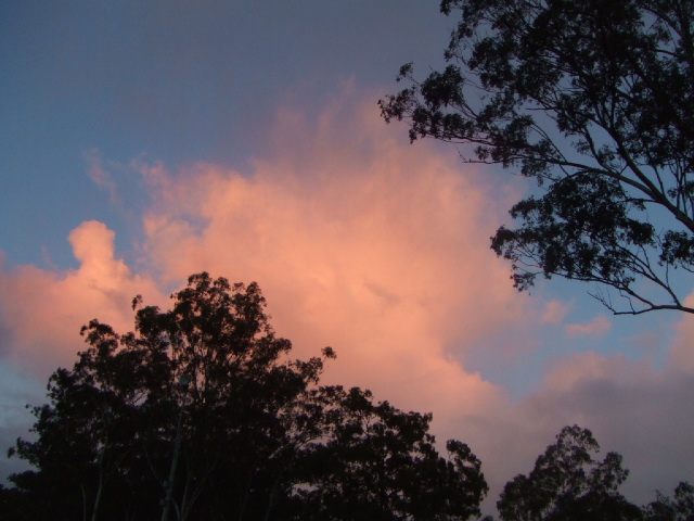 e0171460_21153981.jpg