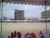 f0085061_13585262.jpg