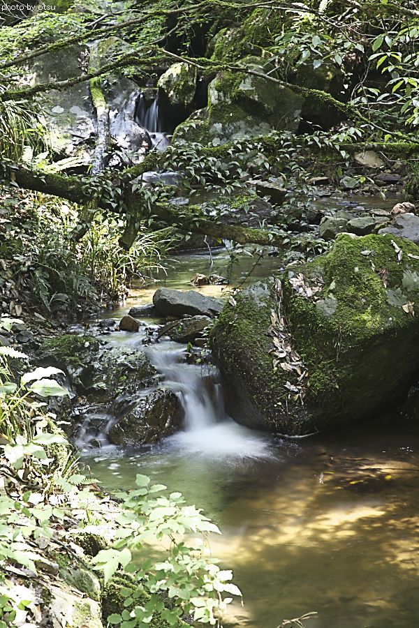 b0098362_6211055.jpg